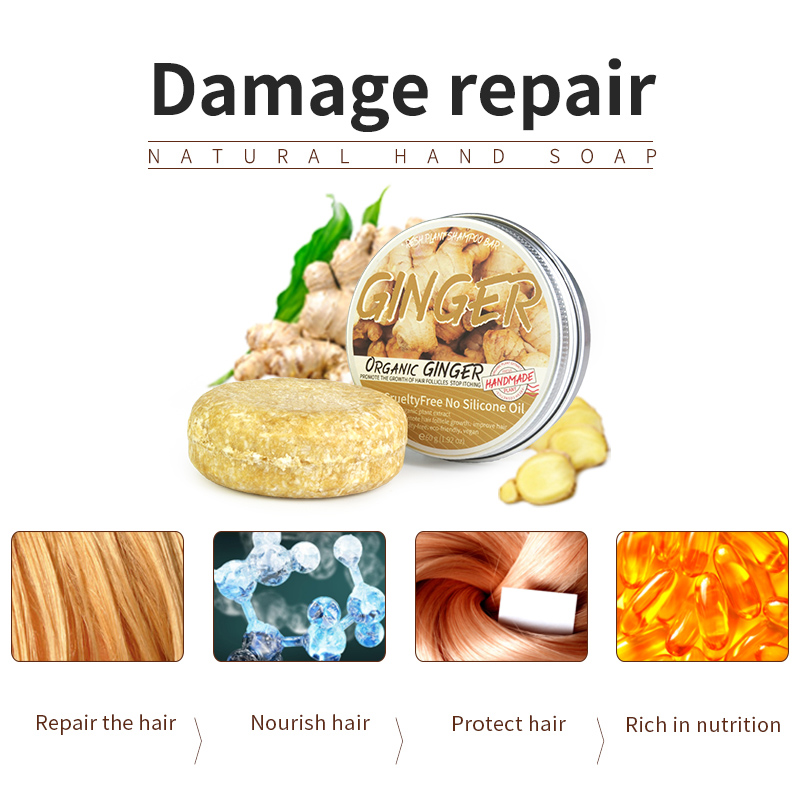 Shampoo soap Ginger solid sham – Soap Making Fragrance Oil Bewertung und Preis