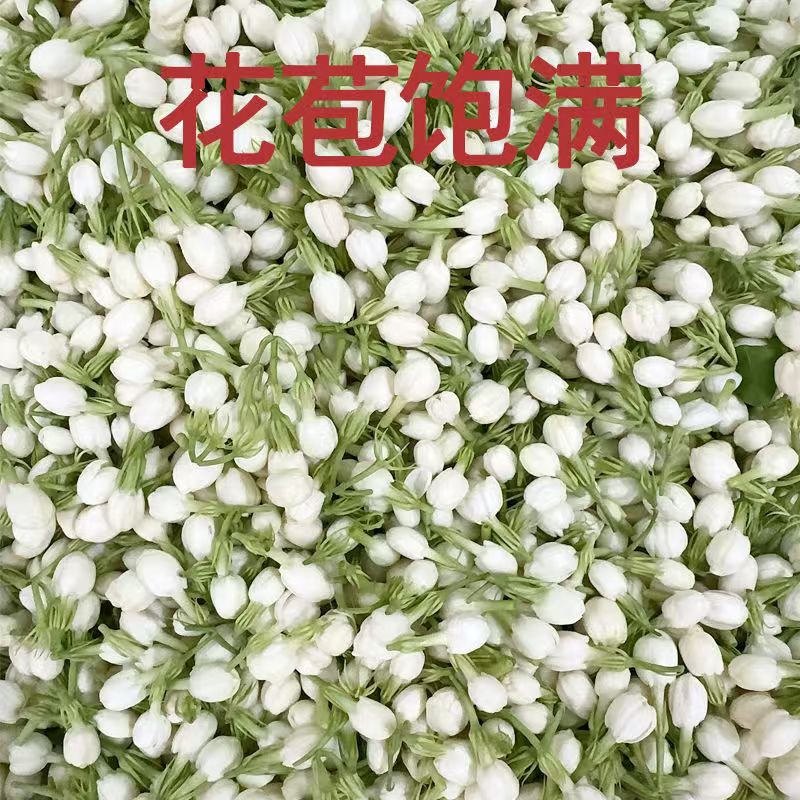 New Natural 100g Jasmine Dried – Soap Making Raw Material Bewertung und Preis